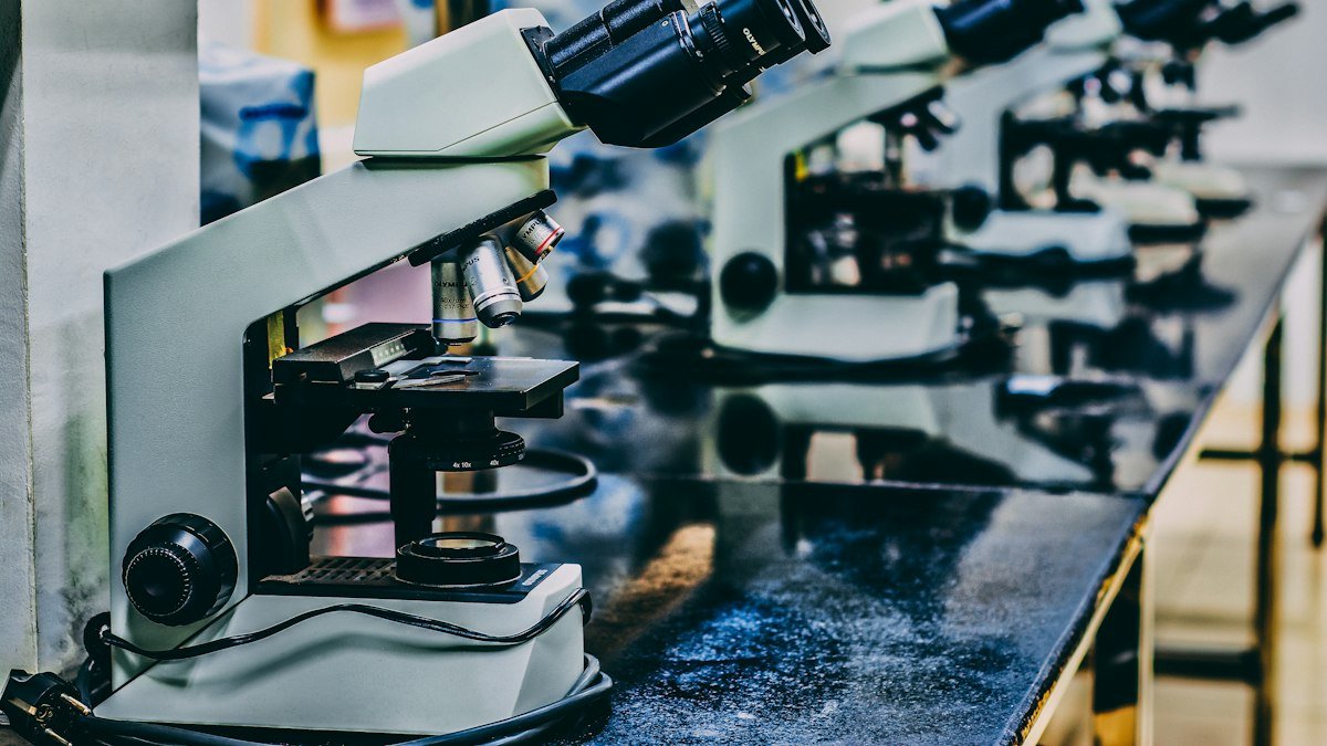 How to Read and Understand Scientific Information