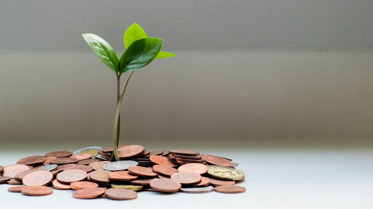 Personal Finance Basics for Students