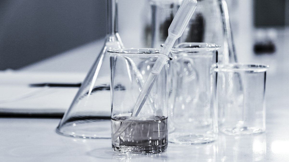 What Is the Scientific Method?